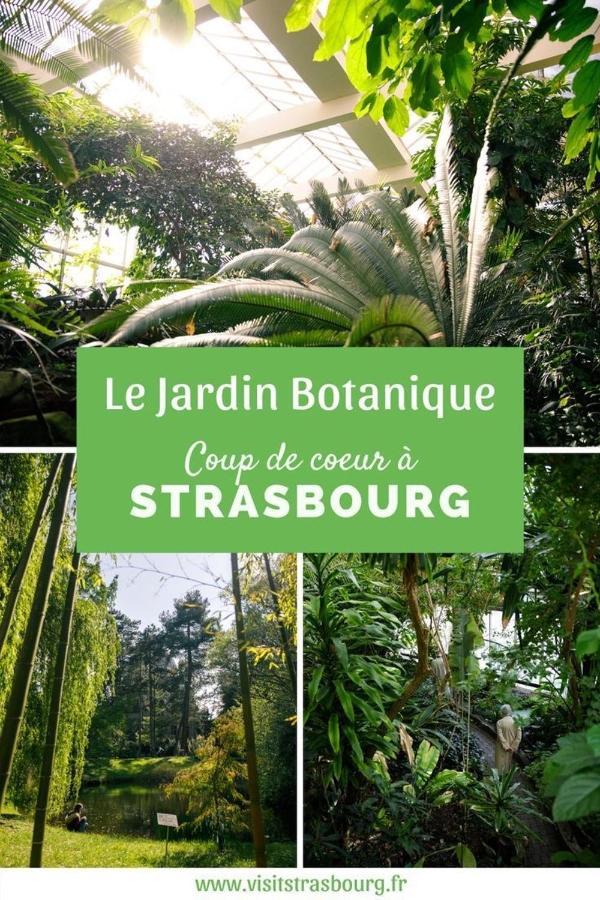Appartement 6 Personnes Strasbourg Proche Centre Ville & Parking المظهر الخارجي الصورة